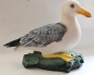 Preview: Möwe auf Fels 29 x 32 cm