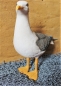 Preview: Deko-Figur Möwe stehend ca. 39 x 43 cm