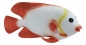 Preview: Deko Fisch ca. 43,5 x 10 x 23,5 cm