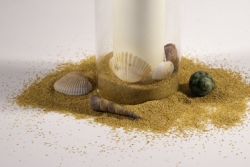 Streudeko als Sand und Muscheln ca. 240 g