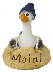 Möwe Moin ! ca. 5 x 5,5 x 6 cm