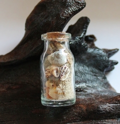Flasche mit Muscheln und Deko-Sand ca. 4,5 x Ø 2 cm