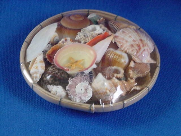 Muschel-Mix in einer Bambusschale ca. 20 cm