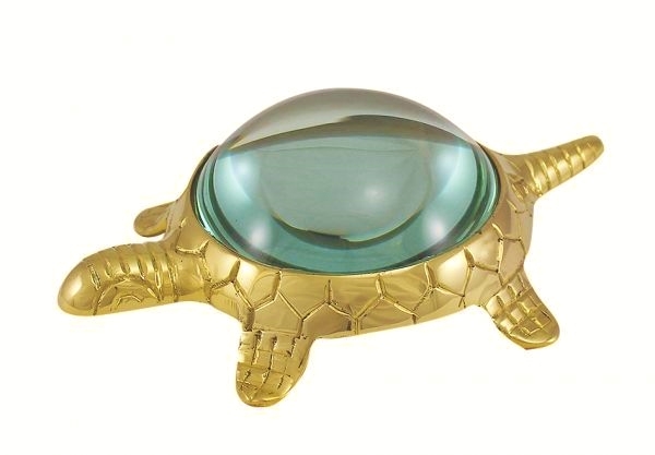 Lupe als Schildkröte