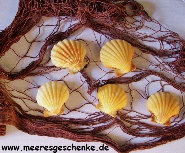 Maritime Deko mit Fischernetz 2 m² und 5 Muscheln