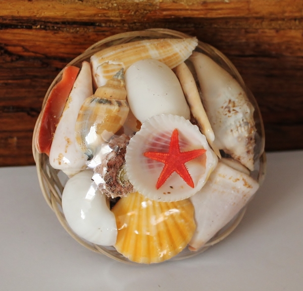 Muschelkorb Ø 10 cm