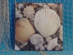 Bild Pecten Steine 28x28cm